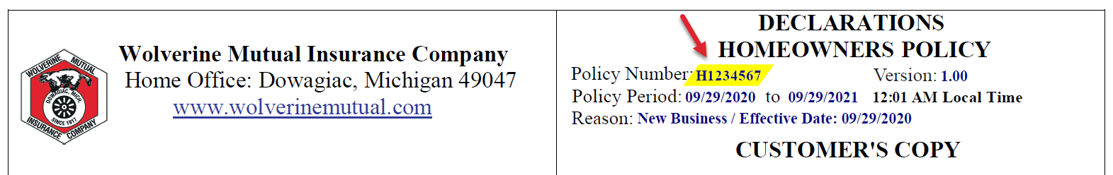wolverine mutual bill pay